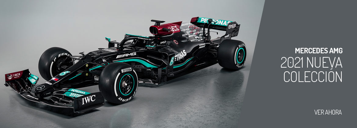 Mercedes AMG Petronas F1 Team 2021