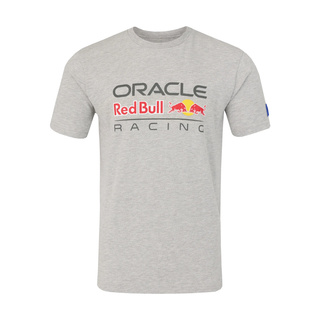 Koszulka t-shirt dziecięca Logo Regular Red Bull Racing F1 2026 szara