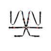 Pasy 6-punktowe Sparco ALU 2" PRO H-9 Evolution (FIA)