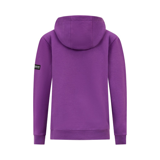 Bluza dziecięca Lewis Hamilton Hoodie Mercedes AMG F1 