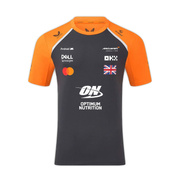 Koszulka t-shirt męska Set Up Norris Team szara McLaren F1 2025