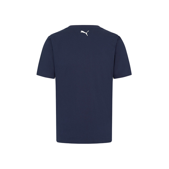 Koszulka t-shirt dziecięca Logo Williams F1
