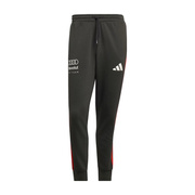Spodnie DNA Audi Revolut F1 2026