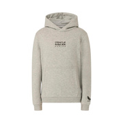 Bluza z kapturem dziecięca Graphic Bull Red Bull Racing F1 2026 szara