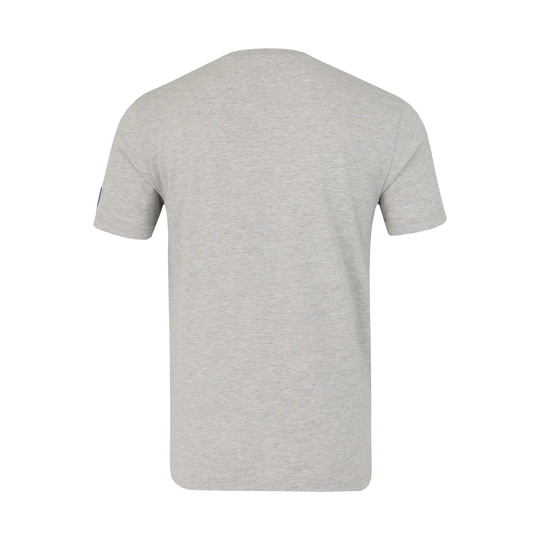 Koszulka t-shirt Logo Regular Red Bull Racing F1 2026 szara