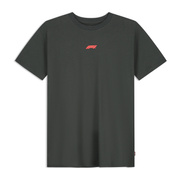Koszulka t-shirt RDW Graphic Formula 1 2026 czarna