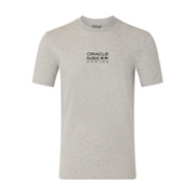 Koszulka t-shirt Graphic Bull Red Bull Racing F1 2026 szara