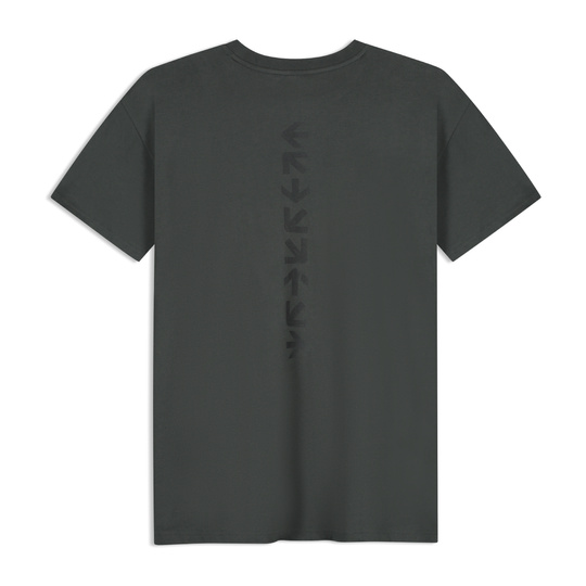 Koszulka T-shirt męska czarna RDW Formula 1 2026
