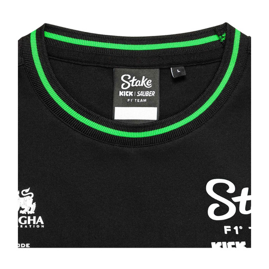 Koszulka t-shirt męska Team Stake F1 Kick Sauber 2025